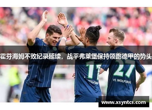 霍芬海姆不败纪录延续，战平弗莱堡保持领跑德甲的势头