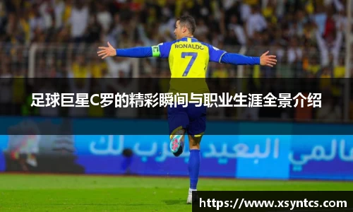 雷火电竞官方网站入口